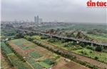 Hà Nội đề xuất quy định về xây dựng công trình trên đất nông nghiệp bãi sông