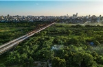Đại lộ cảnh quan sông Hồng: Hà Nội không thu hẹp không gian thoát lũ