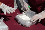 Croatia thu giữ 745 kg cocaine giấu trong các container