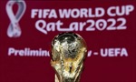 WHO: Tin tưởng Qatar sẽ tổ chức an toàn World Cup 2022