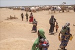 LHQ kêu gọi hỗ trợ khẩn cấp cho vùng Sừng châu Phi khắc phục hậu quả hạn hán