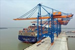 Tăng cường kiểm tra giá cước vận chuyển hàng hóa container bằng đường biển