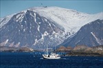 Na Uy phát hiện nguồn tài nguyên đáng kể dưới đáy biển