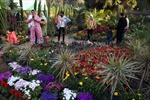 Sắc màu cuộc sống: Triển lãm Hoa mùa Xuân rực rỡ ở thủ đô của Ai Cập