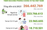 Tình hình tiêm vaccine phòng COVID-19 tại Việt Nam tính đến hết ngày 6/6/2023