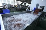 Lưu ý cần thiết cho doanh nghiệp xuất khẩu thực phẩm vào Nhật Bản