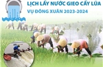 Lịch lấy nước gieo cấy lúa vụ Đông Xuân 2023-2024
