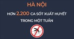 Hà Nội: Ghi nhận trên 2.200 ca sốt xuất huyết trong một tuần