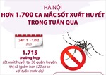 Hà Nội: Trên 1.700 ca mắc sốt xuất huyết trong tuần qua