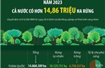 Năm 2023: Cả nước có hơn 14,86 triệu ha rừng