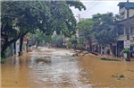 Hà Giang: Khẩn trương khắc phục sạt lở, thông xe nhanh sau mưa lũ