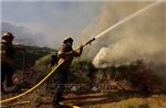 Mỹ: Trên 13.000 người ở Bắc California phải sơ tán vì cháy rừng