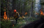 Ban bố tình trạng khẩn cấp do cháy rừng tại một số vùng ở Nga