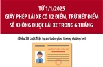 Từ 1/1/2025: Giấy phép lái xe có 12 điểm, trừ hết điểm sẽ không được lái xe trong 6 tháng