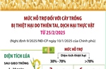 Mức hỗ trợ đối với cây trồng bị thiệt hại do thiên tai, dịch hại thực vật từ 25/2/2025