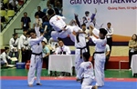 Giải vô địch Taekwondo quốc gia năm 2025: Thành phố Hồ Chí Minh giành giải Nhất toàn đoàn