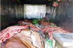 Thu giữ hơn 1 tấn nội tạng không rõ nguồn gốc