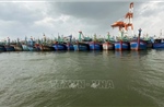 Bình Định kêu gọi 40 tàu cá trong vùng nguy hiểm của áp thấp nhiệt đới tìm nơi tránh trú an toàn