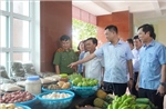 Phát triển kinh tế ở đặc khu Cồn Cỏ gắn với giữ vững quốc phòng - an ninh