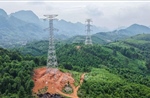 Đường dây 500kV Lào Cai – Vĩnh Yên: Hoàn thành kéo dây những khoảng néo đầu tiên