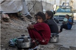 EU sẽ xem xét mọi biện pháp cải thiện viện trợ nhân đạo cho Gaza
