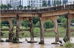 Kinh tế toàn cầu thiệt hại 131 tỷ USD do thiên tai trong nửa đầu năm 2025 