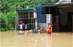 Các tỉnh, thành phố khu vực Bắc Bộ và Thanh Hóa, Nghệ An chủ động ứng phó với mưa lớn