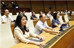 Hoàn thiện thể chế, nâng tầm chất lượng sản phẩm, hàng hóa
