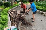 Phát động toàn dân tham gia bảo vệ môi trường