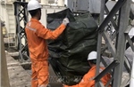 Tổng công ty Điện lực miền Bắc khắc phục lưới điện sau bão số 5