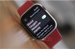 Cơ quan Hải quan Mỹ gặp rắc rối vì cho phép nhập khẩu Apple Watch