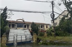 Cơ bản khắc phục sự cố trên đường dây 500 kV và 220 kV tại Nghệ An và Hà Tĩnh