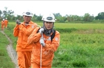 Đã khôi phục điện cho gần 80,5% khách hàng sau bão số 5