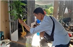 Khánh Hòa triển khai các biện pháp phòng, chống sốt xuất huyết