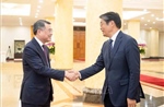Tăng cường phát triển quan hệ Đối tác chiến lược toàn diện Việt Nam - Nhật Bản thực chất, hiệu quả và toàn diện