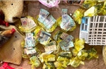 Triệt phá trường gà quy mô lớn, tạm giữ 51 đối tượng