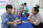 Kế hoạch triển khai thi hành Luật Việc làm