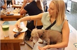 Dogood Café - Góc nhỏ ấm áp cho những người yêu chó ở Brussels