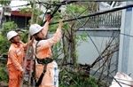 Bão số 10: Gần 3 triệu khách hàng Điện lực miền Bắc ảnh hưởng