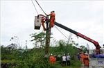 Nghệ An phấn đấu đóng điện trên địa bàn toàn tỉnh trong thời gian sớm nhất