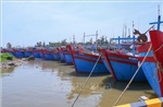 Các địa phương từ Ninh Bình đến Huế cấp bách ứng phó bão số 10