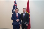 Trưởng Ban Tuyên giáo và Dân vận Trung ương Nguyễn Trọng Nghĩa thăm làm việc tại Australia
