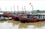Hưng Yên hoàn thành sắp xếp tàu thuyền tránh trú bão trước 16 giờ ngày 27/9