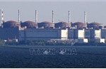 IAEA: Nguồn điện cho nhà máy hạt nhân Zaporizhzhia đã được khôi phục