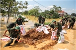 Bão số 11: Từ khắc phục thiệt hại đến củng cố năng lực chống chịu thiên tai