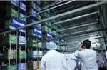 Kỳ vọng vào định hướng phát triển TP Hồ Chí Minh trong kỷ nguyên mới
