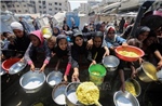 Israel trục xuất hàng trăm nhà hoạt động quốc tế tham gia đoàn tàu cứu trợ Gaza