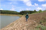 Năm tỉnh, thành Trung Bộ và Tây Nguyên đảm bảo an toàn đê điều, ứng phó bão, mưa lũ