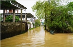 Quảng Trị: Hơn 3.600 nhà dân bị ngập nước do mưa lớn kéo dài