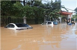 Mưa lớn sau bão số 11 làm thiệt hại gần 22.600 ha cây trồng, gần 17.000 nhà bị ngập